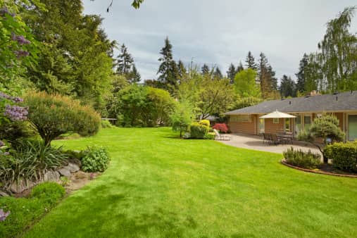 lawn and yard